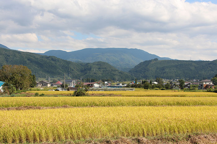 木島平